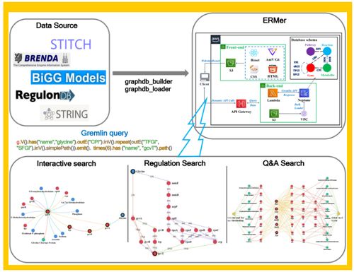 微生物领域的革新 Tibcas联合亚马逊云科技提出针对真实业务场景的信息技术咨询服务新框架